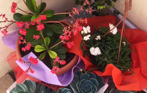 Güneş Apartments İçmeler